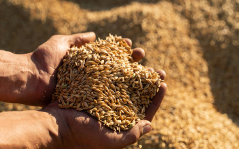 2022 Malt Outlook