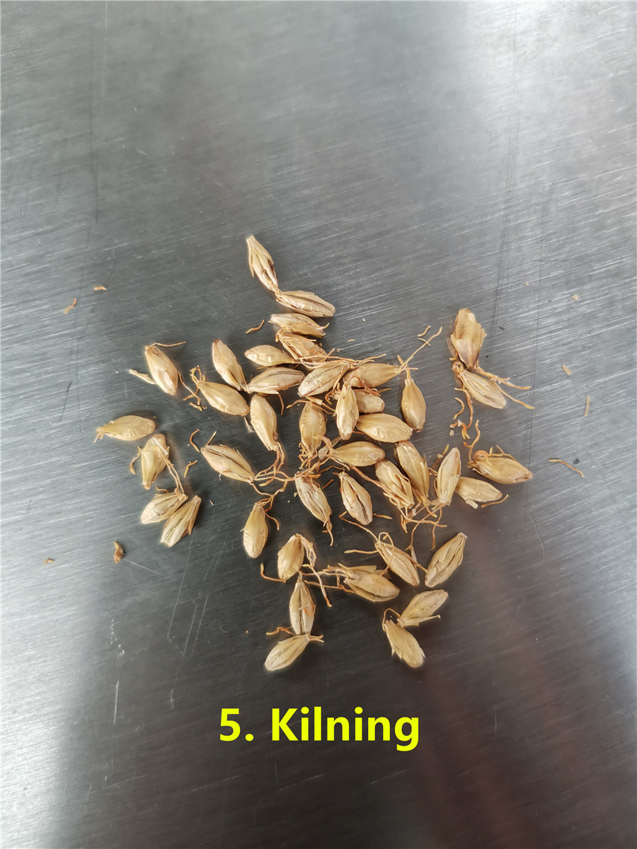 5 Kilning_副本