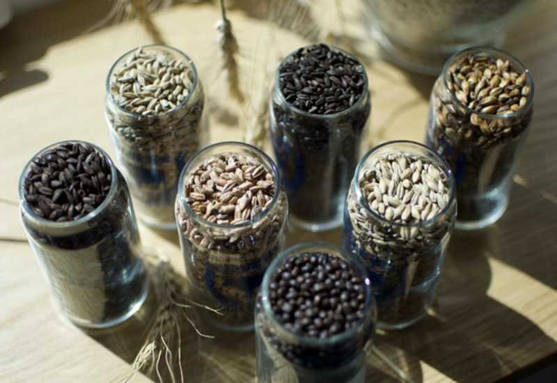 Blue Ox Malthouse Debuts 7 New Roasted Malt Varieties
