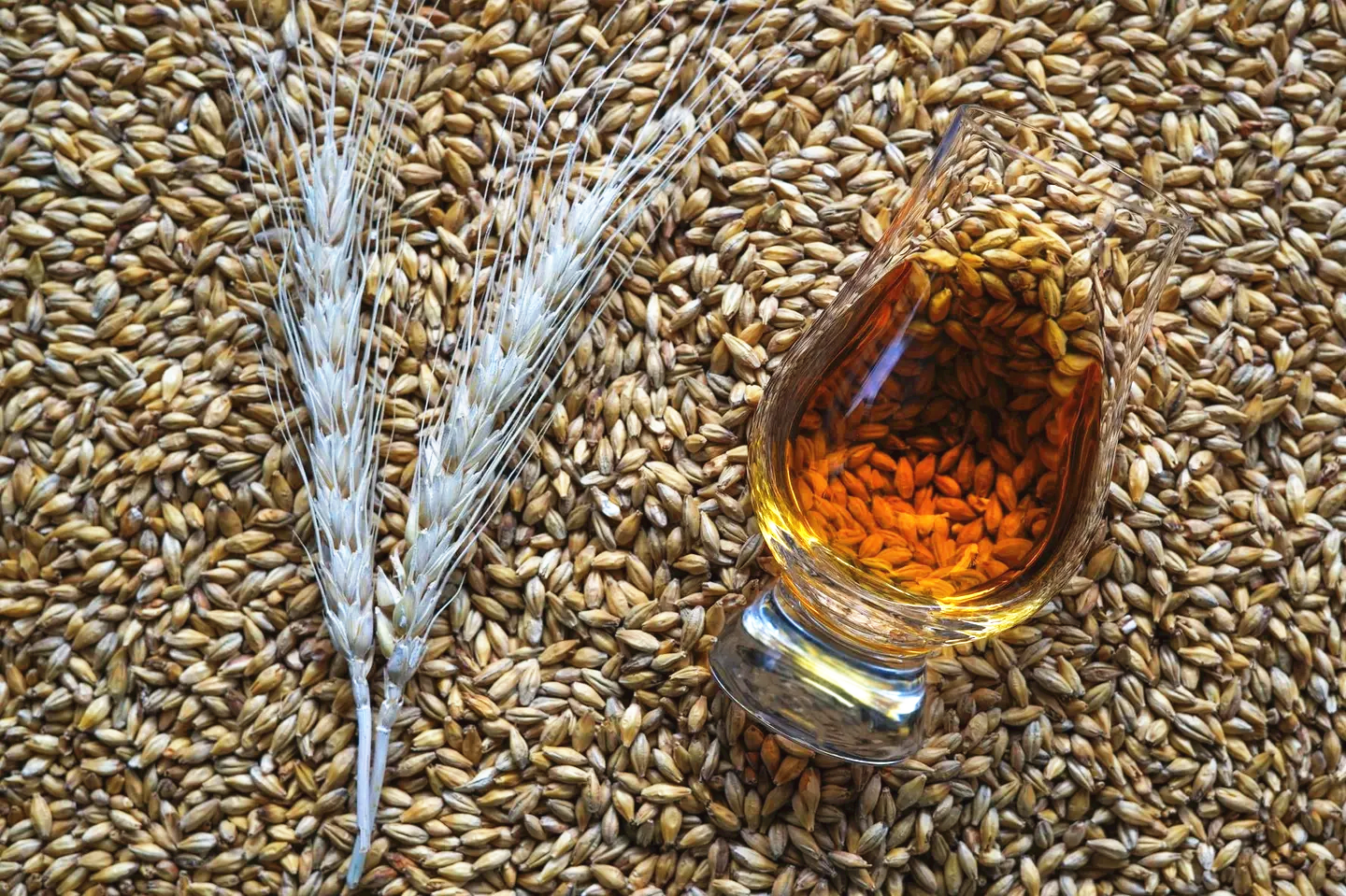 barley malt and whisky-promalting