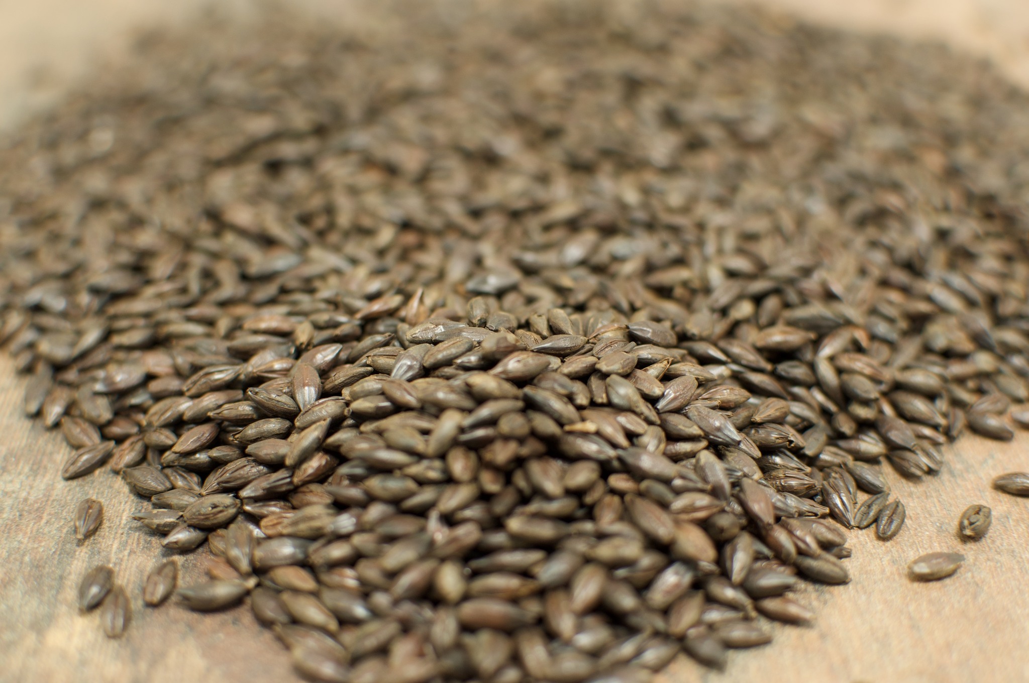 Roasted Barley