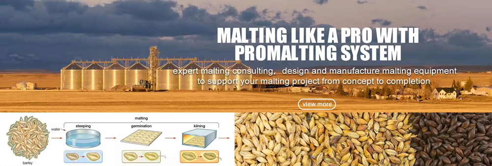 promalting system.png