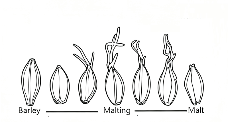 promalting system 22.png