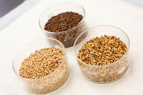 WHAT IS MALT?