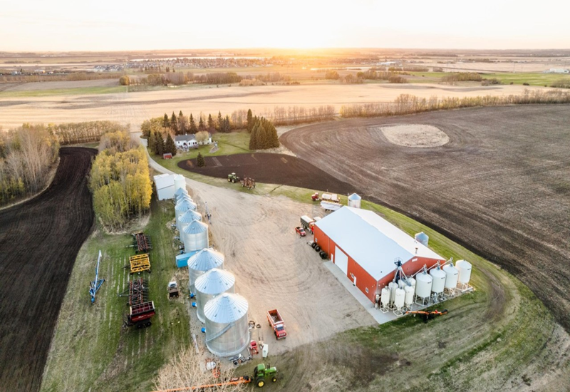 Concept to Creation: Operations & Production (The Malt Whisperer: Chronicles from Red Shed)