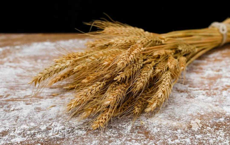 From barley to malt
