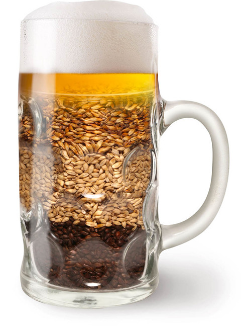 4dd7fd81a0b3bbe57ca5ca271669162d_Beer-And-Barley-In-Beer-Glass_副本