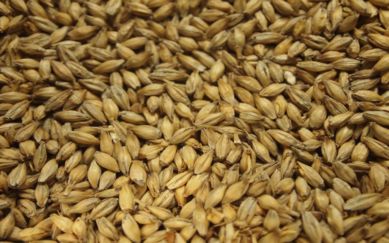 What Kinds of Malting Project Yingtai Could Provide for You? 