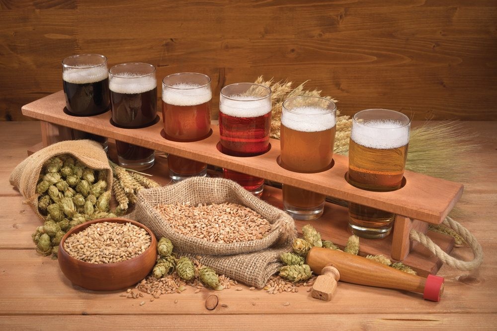 The Applications of Barley Malt and Malted Grain. 