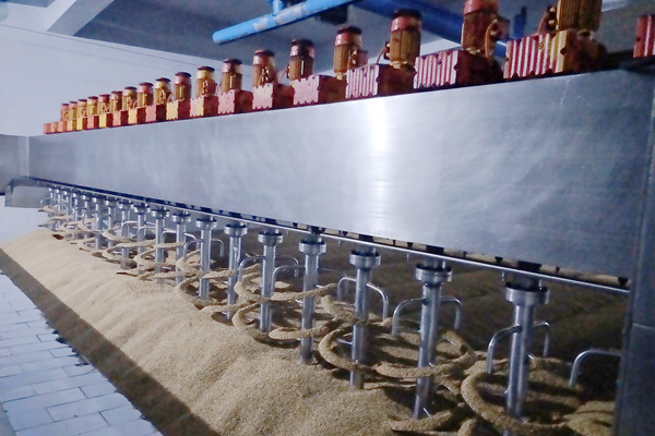 Yingtai Promalting System Traditional Saladin Malting Equipment for Malthouse and Malting Companies