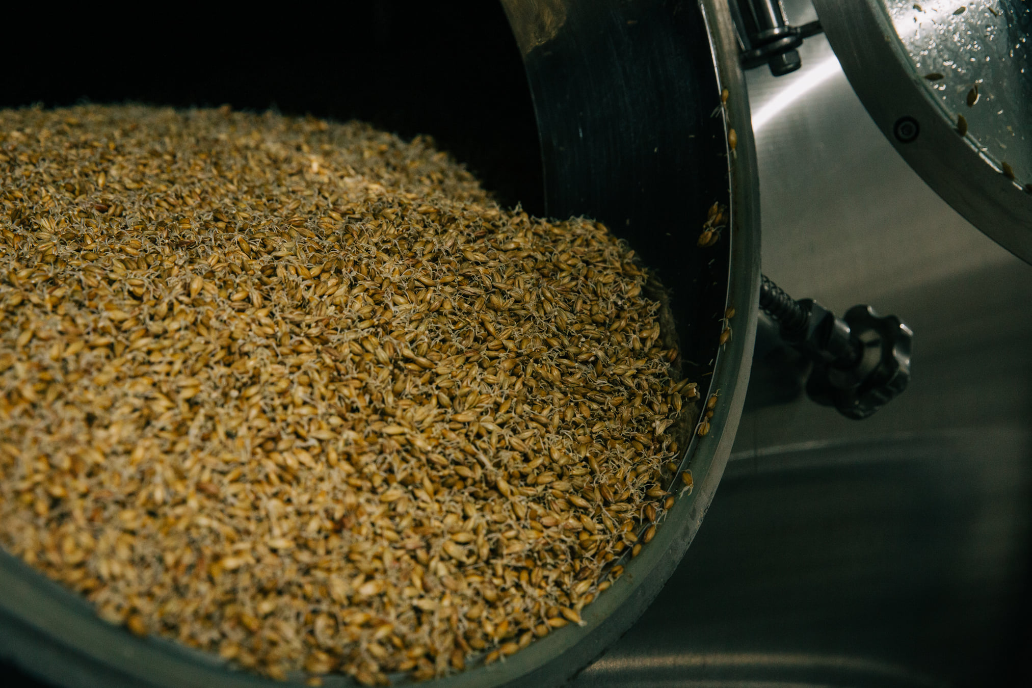 2-ton Drum Malting System For Brewing & Distilling Malt 